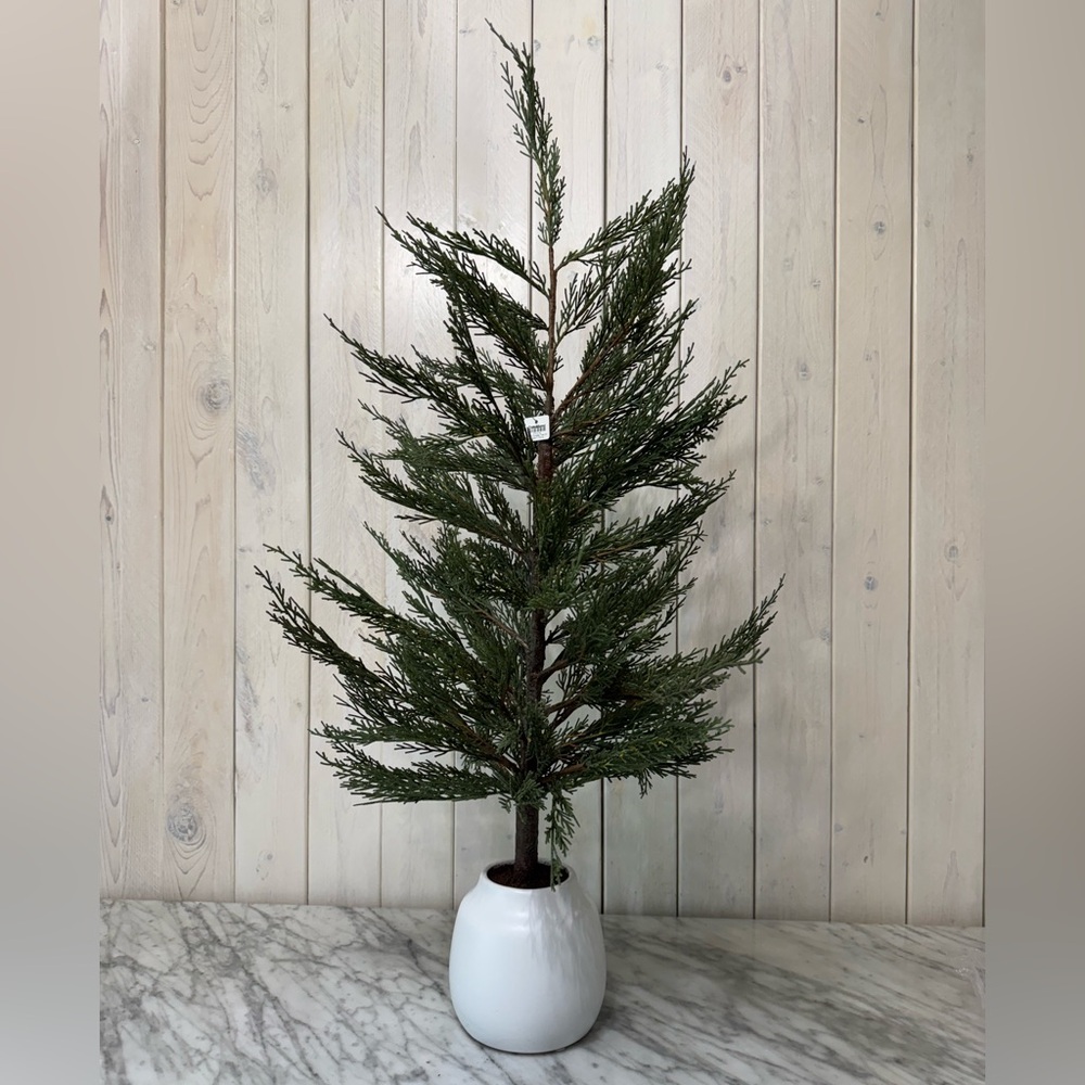 Crate & Barrel, Faux 33” Cypress Tree in White Pot
